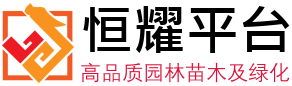 恒耀平台-品质服务,畅享注册之梦!