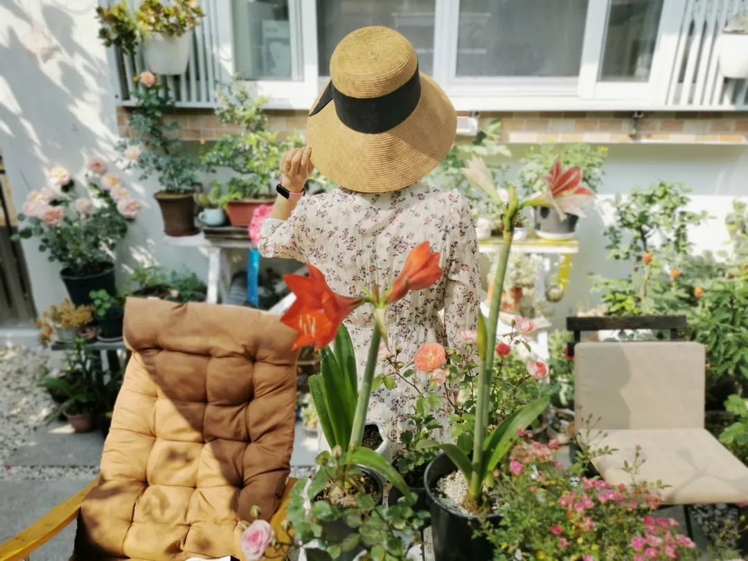 上海夫妻爆改破旧小院,杂草、垃圾满堆的小院变成社区网红花园,邻居动物都来串门