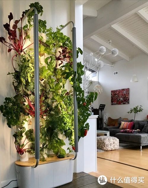 老外推出全自动种植机,0.2㎡能种30种植物,小黑屋也能实现园艺自由